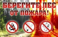 Не допустить лесных пожаров