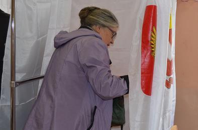 В Коркино сохранятся прямые выборы глав