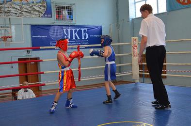 В Коркино открылся турнир по боксу