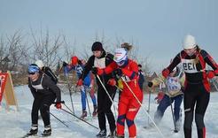В Коркино пройдёт День лыжника