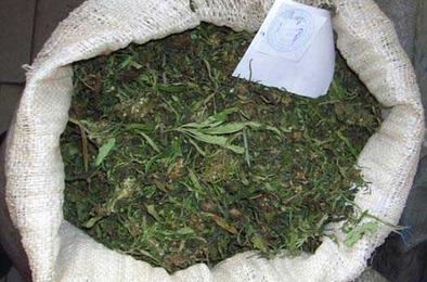 Житель Коркино хранил дома килограмм марихуаны