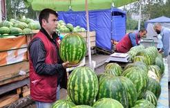 Жители Коркинского района травятся арбузами