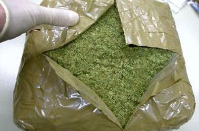 В Коркино полицейские изъяли 800 граммов марихуаны