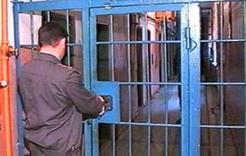 За неуплату штрафа арестовано 8 коркинцев