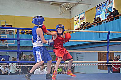 В Коркино открылся традиционный турнир по боксу