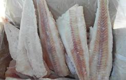 В Коркино обнаружена некачественная рыба