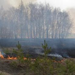 В Коркинском районе горят гектары сухой травы