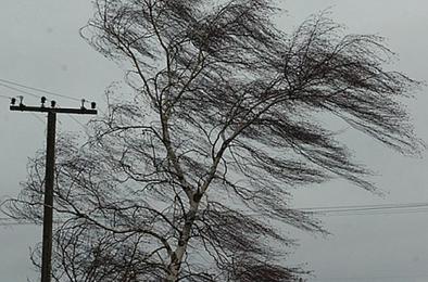 МЧС предупреждает южноуральцев о штормовом ветре