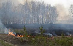 В Коркинском районе увеличилось количество пожаров