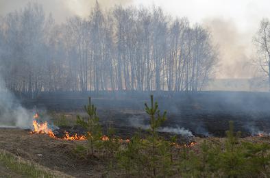 В Коркинском районе увеличилось количество пожаров