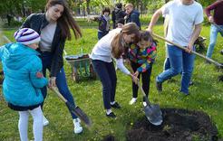 Коркинские студенты посадили деревья 
