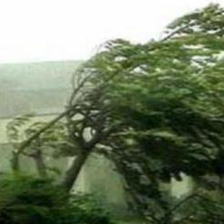 МЧС предупреждает южноуральцев о сильном ветре