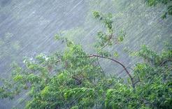 МЧС предупреждает южноуральцев о дождях, грозах и граде