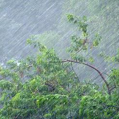 МЧС предупреждает южноуральцев о дождях, грозах и граде