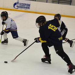 В Коркинском районе состоится детский хоккейный турнир