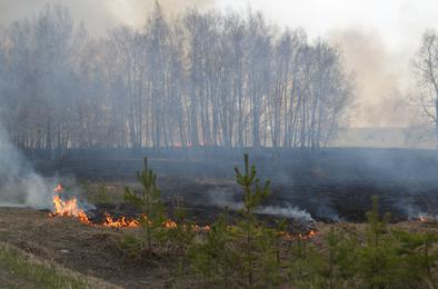 В Коркино готовятся к весенне-летнему пожароопасному периоду