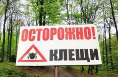 В Челябинской области в предстоящий сезон клещи будут активнее