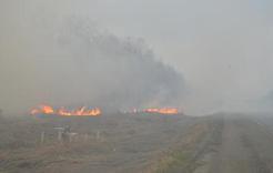В Коркинском районе всё чаще возникают возгорания сухой травы