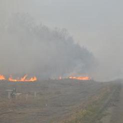 Коркинский отдел управления Росреестра примет участие в борьбе с пожарами