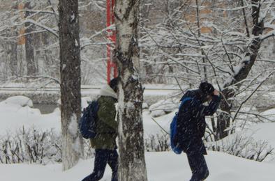 Нагрянувшая зима задержится на Южном Урале