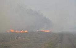 В Коркино произошло два пожара, каждый день горит трава