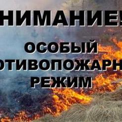 В Коркинском районе – особый противопожарный режим