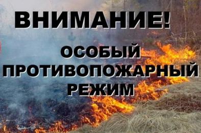 В Коркинском районе – особый противопожарный режим