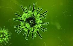 Роспотребнадзор публикует актуальную информацию по коронавирусу