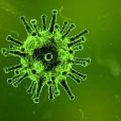 Роспотребнадзор публикует актуальную информацию по коронавирусу