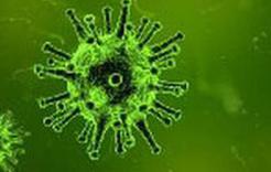 В России на треть выросло заболевших коронавирусом