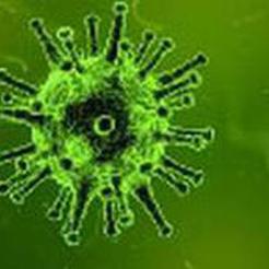 Стало известно, сколько ввезенных случаев коронавируса в Россиию