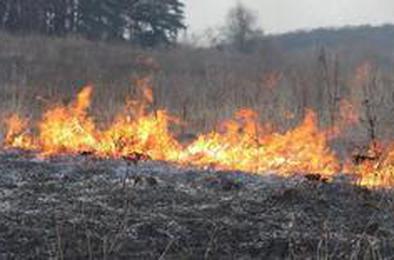 Горит трава: в Коркинском районе пожароопасная ситуация